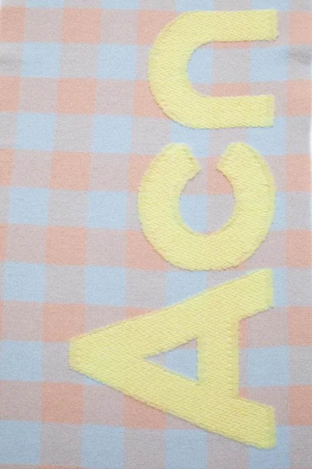 Acne Studios Check Logo Scarf Camel Beigeacid Green Woman Scarves