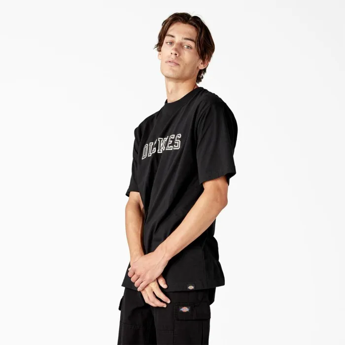 Dickies TShirts Melvern Graphic TShirt Black Black kbk 8211 Men Dickies TShirts Melvern Graphic TShirt Black Black kbk 8211 Men
