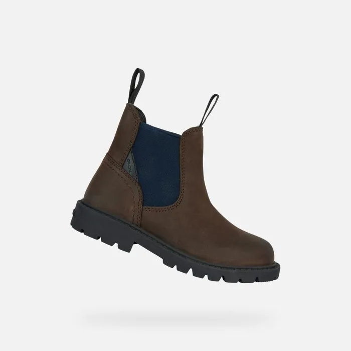 Geox Ankle Boots SHAYLAX A Chelsea Boots Chestnut Kids UPPER CASUAL Brownnavy 8211 Kids Geox Ankle Boots SHAYLAX A Chelsea Boots Chestnut Kids UPPER CASUAL Brownnavy 8211 Kids