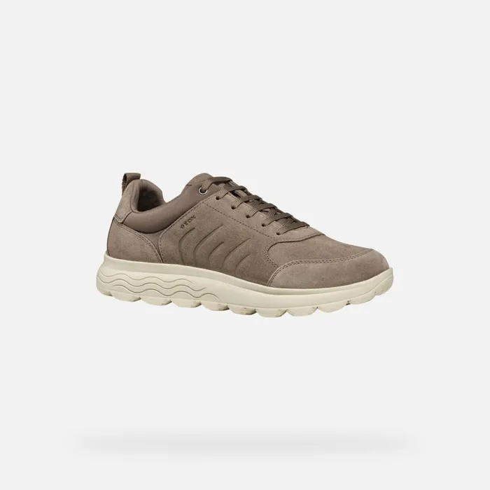 Geox Sneakers SPHERICA MAN Dove Grey Low Top Sneakers Dove Grey 8211 Man