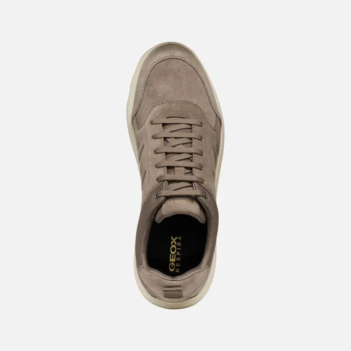 Geox Sneakers SPHERICA MAN Dove Grey Low Top Sneakers Dove Grey 8211 Man