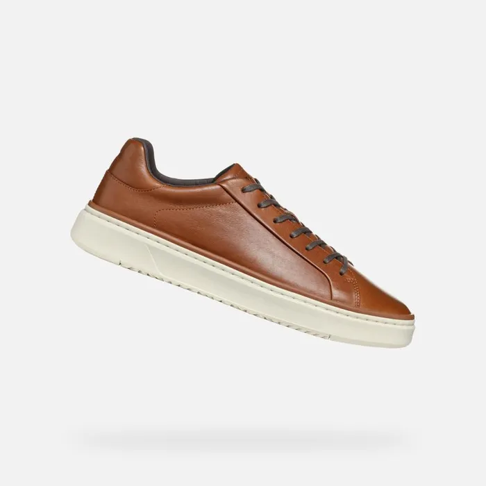 Geox Sneakers ZACKERTY MAN Light Brown Low Top Sneakers Light Brown 8211 Man