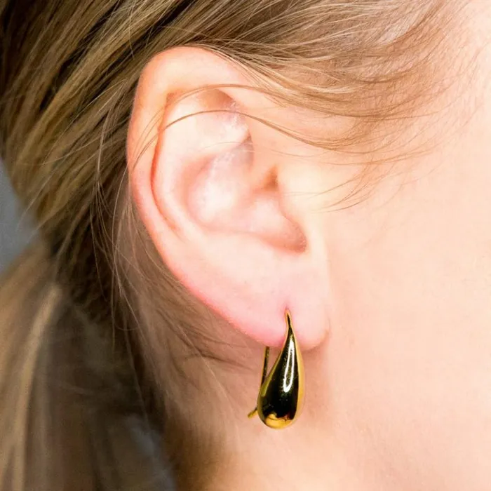 Kenneth Jay Lane Metallic Finish Earrings Women Polished Gold Fish Hook Pierced Earrings