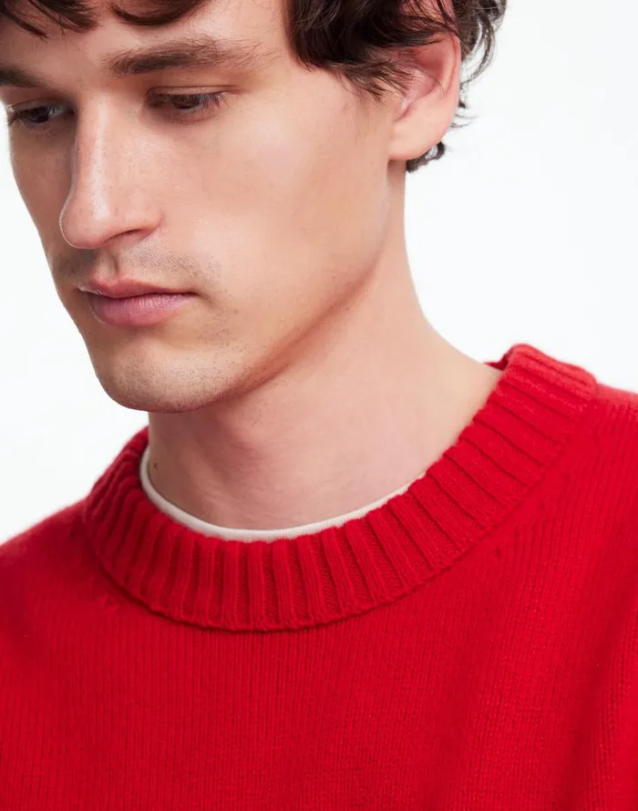 Madewell Crewneck Sweater In SoftWool Pomegranate Seed Men Sweaters