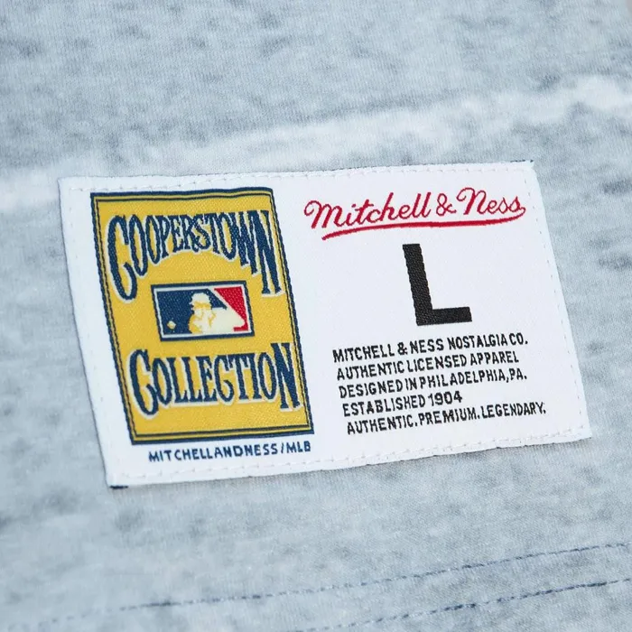 Men039s MLB Mitchell and Ness Highlight Sublimated Player Tee St Louis Cardinals Mark Mcgwire Men039s MLB Mitchell and Ness Highlight Sublimated Player Tee St Louis Cardinals Mark Mcgwire