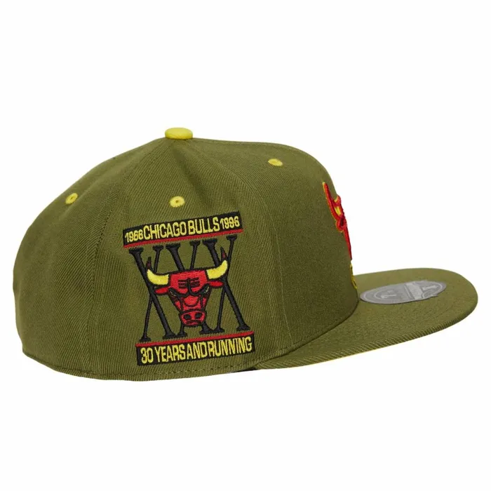 Men039sWomen039s Fitted 163 Styles Mitchell and Ness Dusty Olive Fitted HWC Chicago Bulls Men039sWomen039s Fitted 163 Styles Mitchell and Ness Dusty Olive Fitted HWC Chicago Bulls