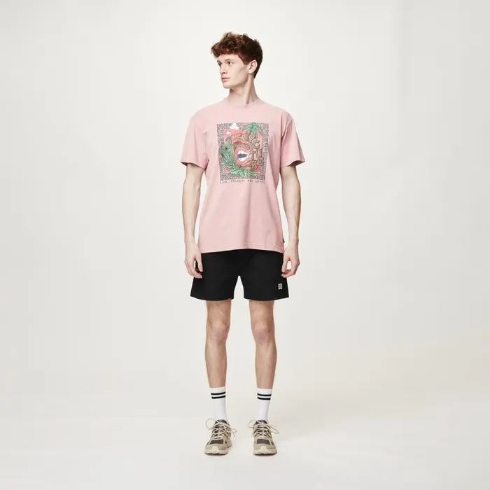 Men DAVERSON SHORTS Picture Organic Clothing Shorts