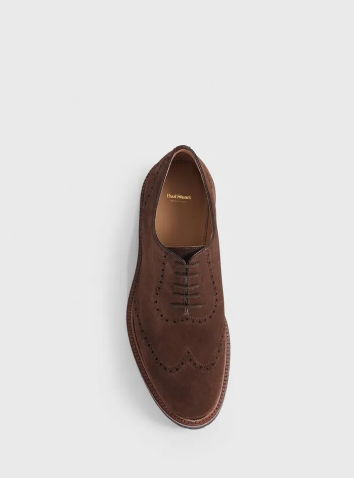 Men Paul Stuart Laceups and Oxfords Homer Suede Wing Tip Oxford Brown