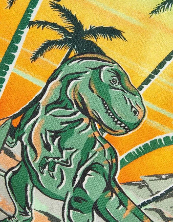 Monsoon Dinosaur Surf TShirt Green Children Tops and Tshirts Monsoon Dinosaur Surf TShirt Green Children Tops and Tshirts