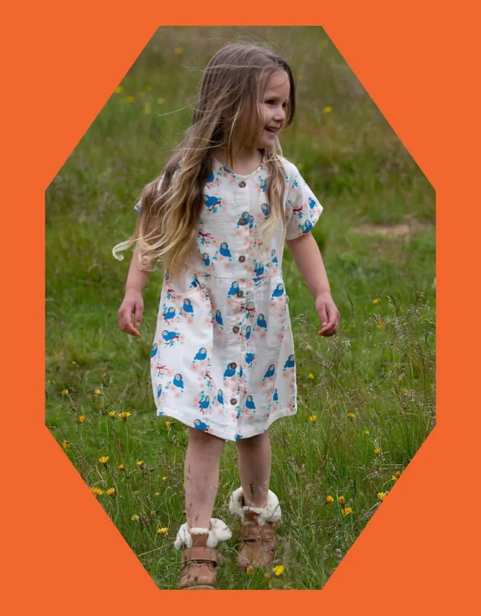 Monsoon Little Green Radicals Bluebird Dress White Children Dresses