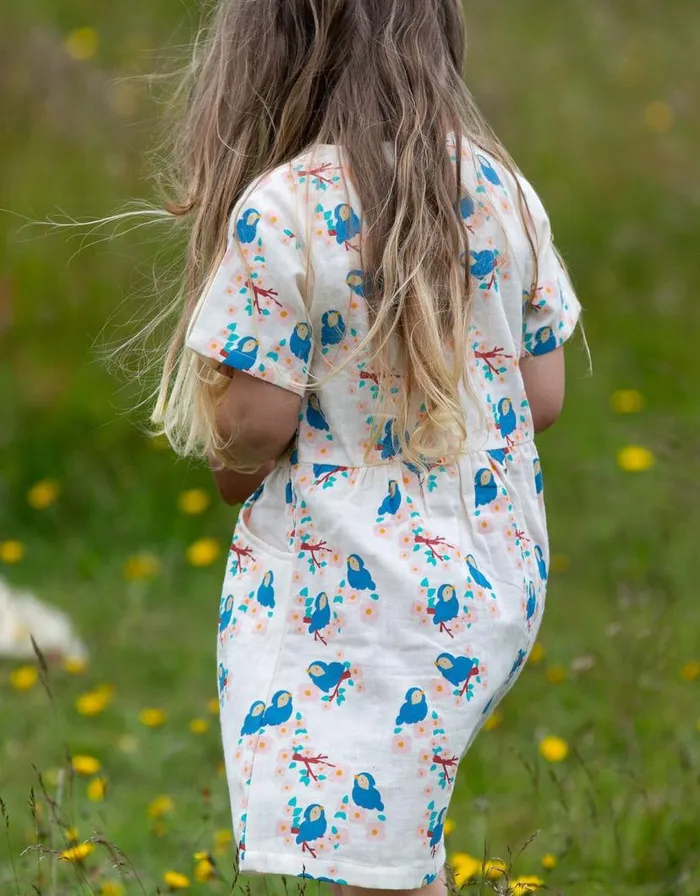 Monsoon Little Green Radicals Bluebird Dress White Children Dresses Monsoon Little Green Radicals Bluebird Dress White Children Dresses