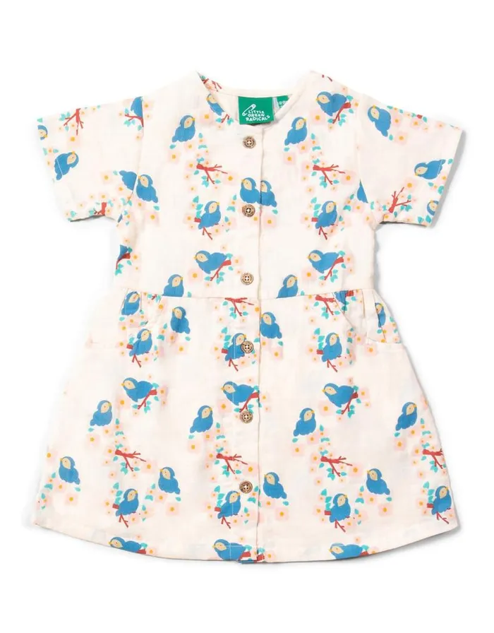 Monsoon Little Green Radicals Bluebird Dress White Children Dresses Monsoon Little Green Radicals Bluebird Dress White Children Dresses