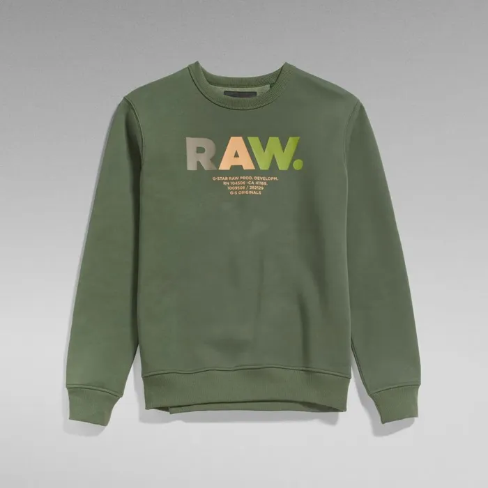 Sweatshirts and Hoodies Men GStar RAW Multi Colored RAW Sweater Light Hunter