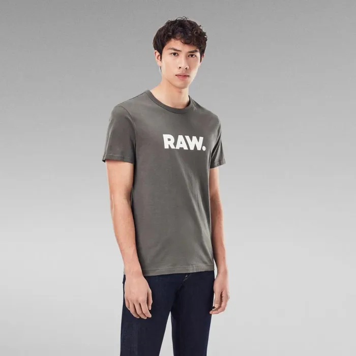 TShirts and Polos Men GStar RAW Holorn TShirt Gs Grey
