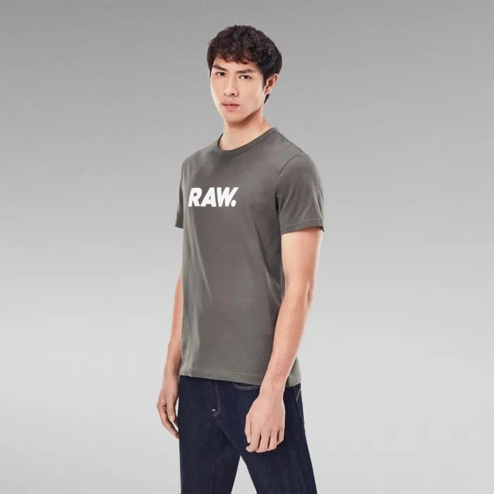TShirts and Polos Men GStar RAW Holorn TShirt Gs Grey