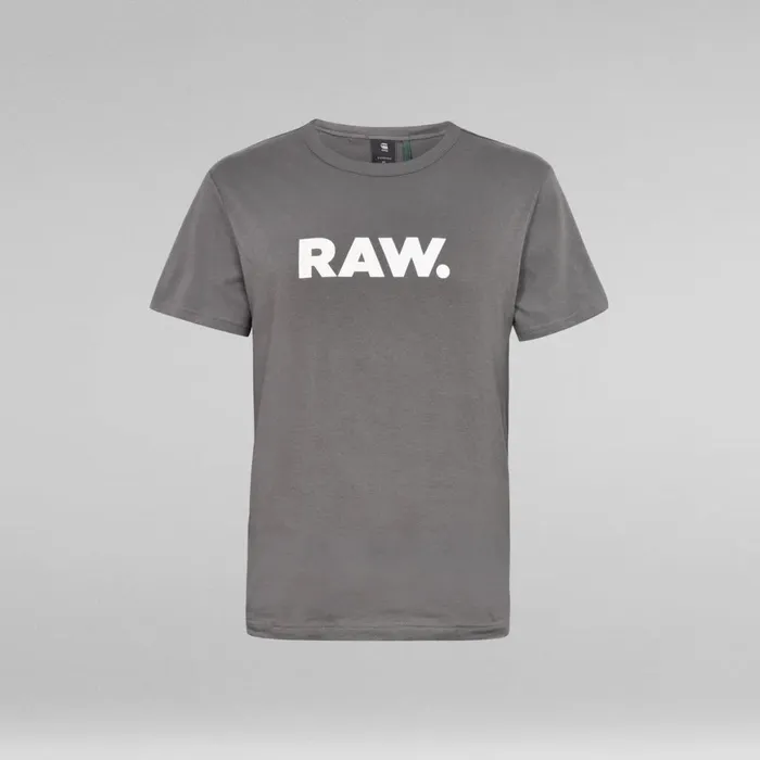 TShirts and Polos Men GStar RAW Holorn TShirt Gs Grey