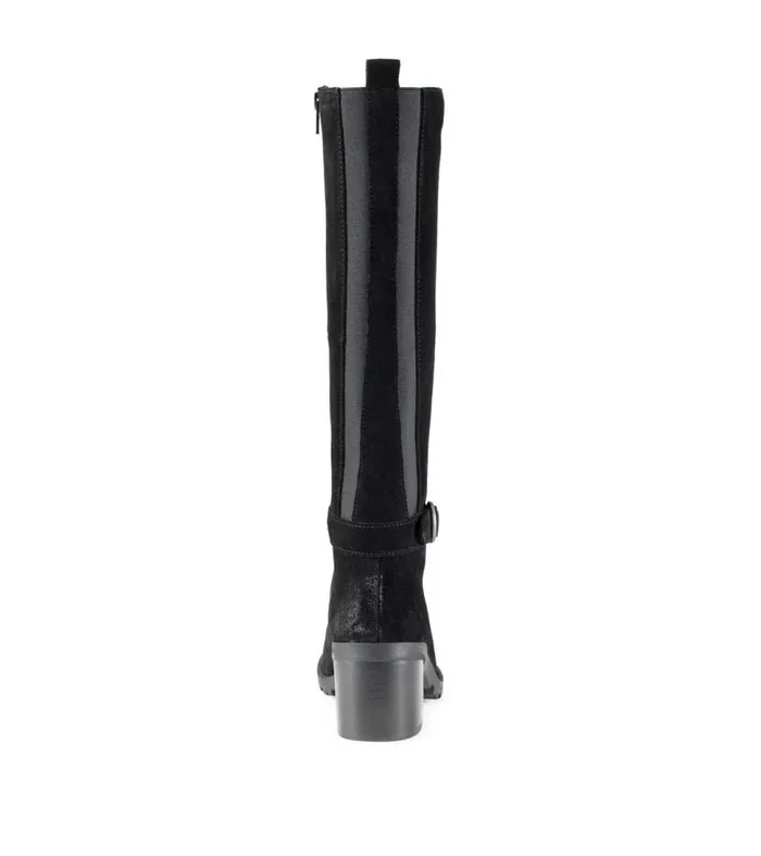 Women Baretraps Knee High Boots Della Tall Boot Black Suede Women Baretraps Knee High Boots Della Tall Boot Black Suede