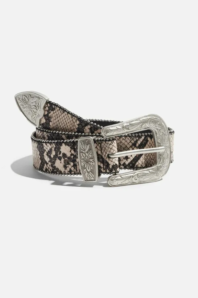 Women Dynamite Belts Dotted Western PinBuckle Belt Gray