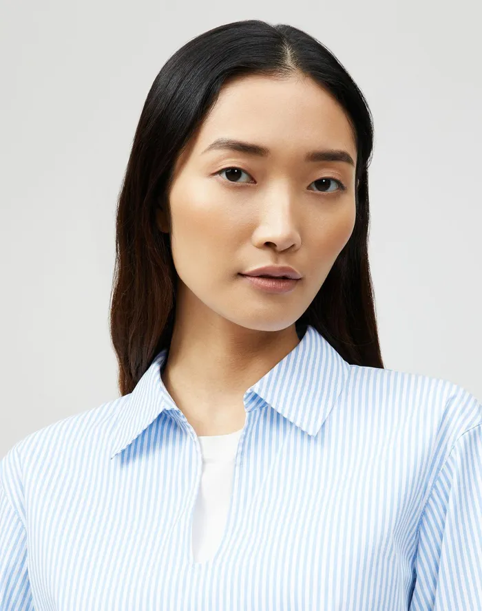 Women Lafayette 148 New York Blouses and Shirts PlusSize Pelham Shirt In KindCotton Courtland Stripe Fresh Blue Multi