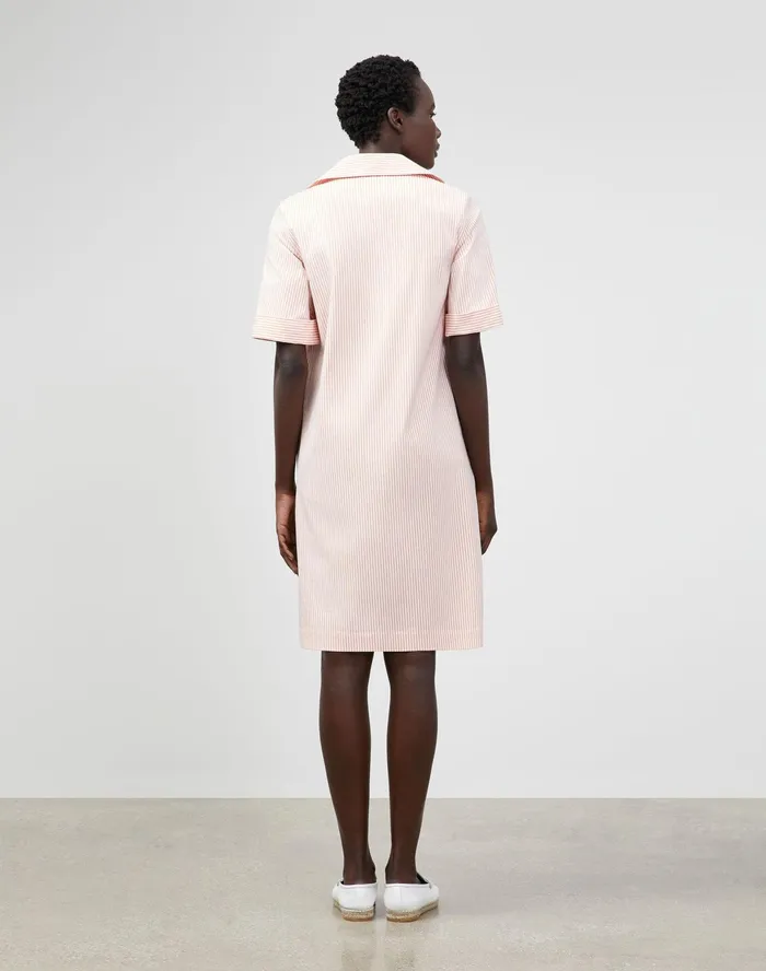 Women Lafayette 148 New York Dresses Petite Andie Dress In Kindcotton Courtland Stripe Tanned Coral Multi