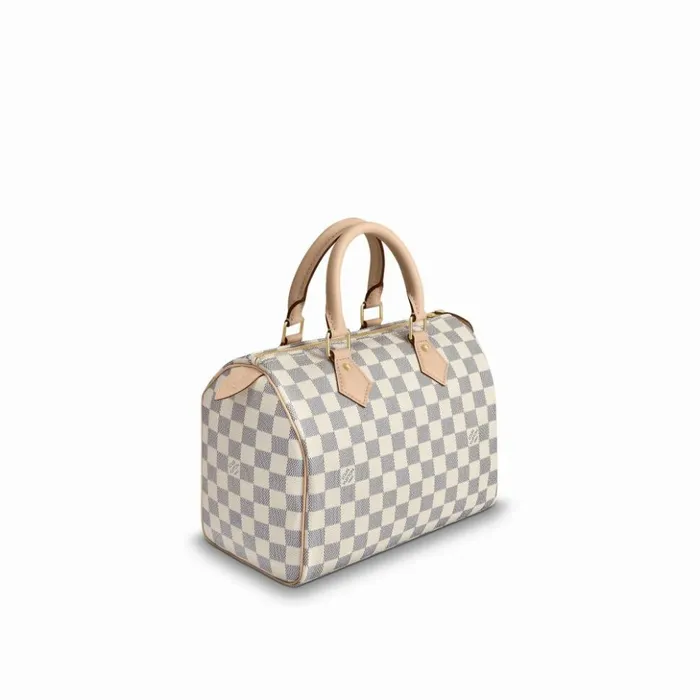 Women Speedy Bag Louis Vuitton Louis Vuitton Speedy 25 N41371 8211 Louis Vuitton Handbag Store