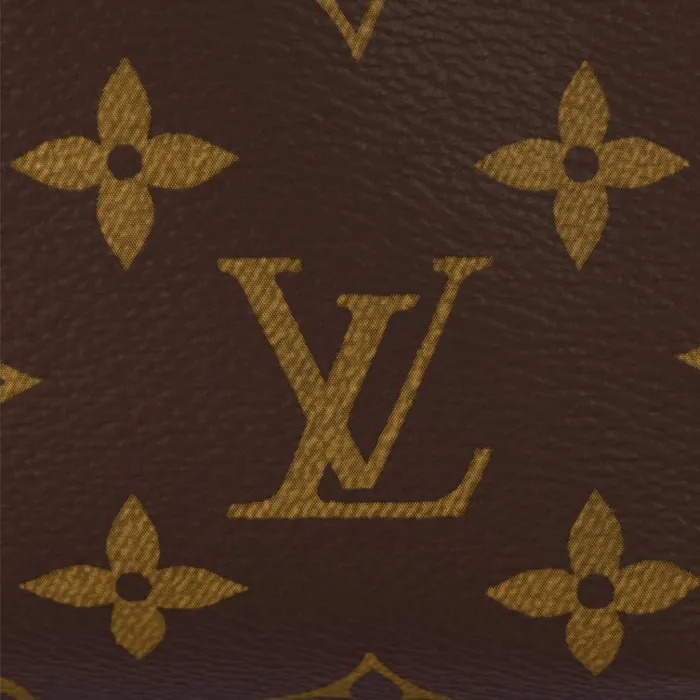 Women Trunk Bag Louis Vuitton Louis Vuitton M46815 Side Trunk PM Monogram 8211 Louis Vuitton Handbag Store